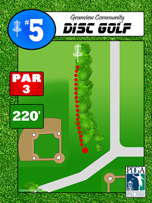 DiscGolf #5