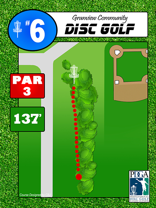 DiscGolf #6