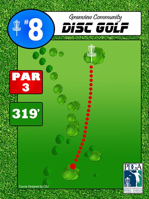 DiscGolf #8